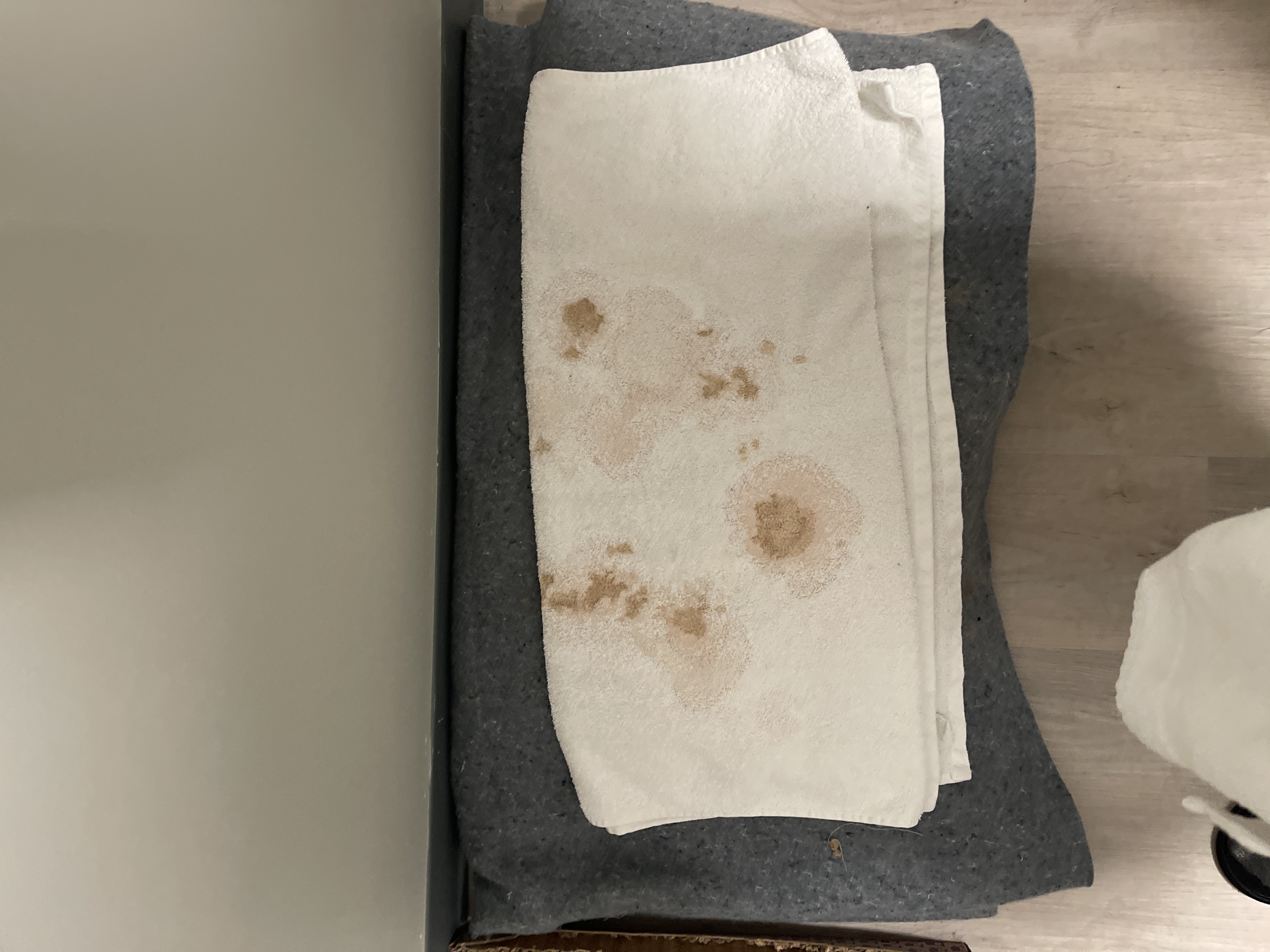 photo-1