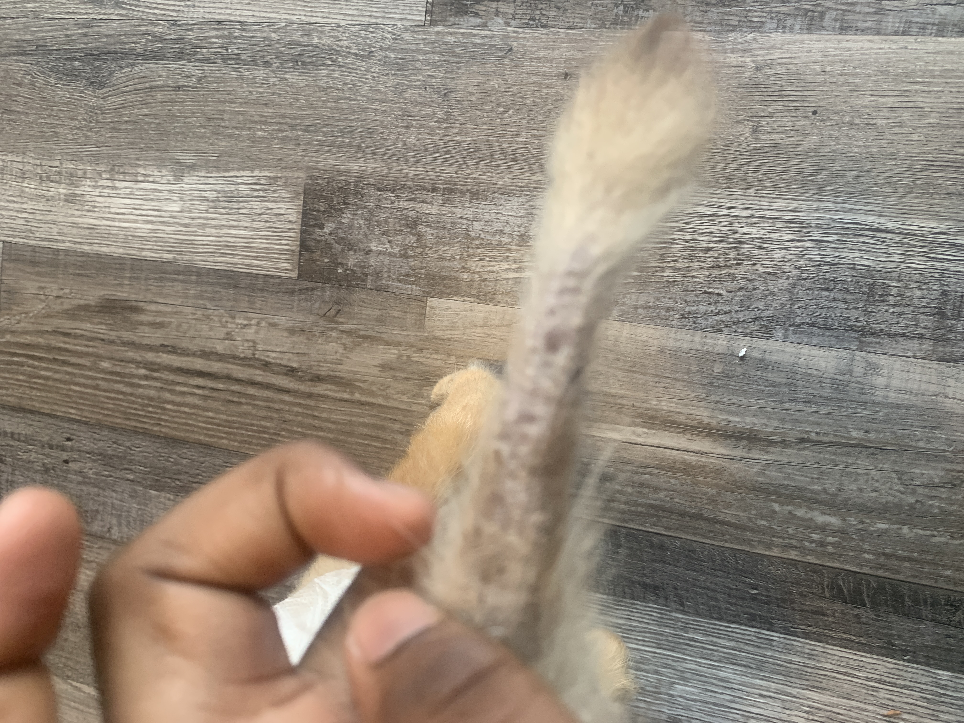photo-1